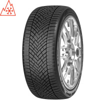 Pneu HAIDA HD625 205/55 R 17 95W