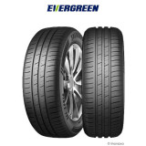 Pneu EVERGREEN EH228 175/70 R 14 88T XL