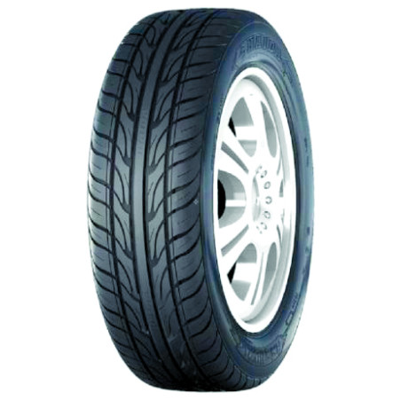 Pneu HAIDA HD921 225/30 R 22 87W