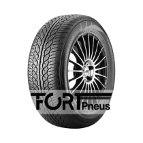 Pneu YOKOHAMA Parada Spec-X PA02 255/50 R 20 109V XL