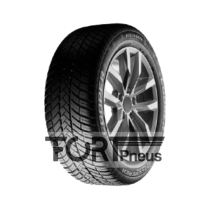 PN COO 225/55R19 XL 103V DISCO WINT