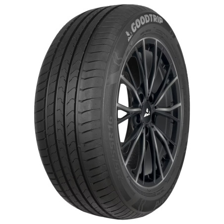 Pneu GOODRIDE Blueguard 195/55 R 16 87