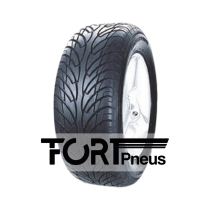 Pneu STAR PERFORMER W-R 225/45 R 16 89W