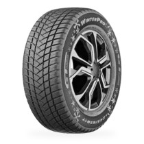 Pneu GT RADIAL Winterpro 2 195/65 R 15 91H 3PMSF