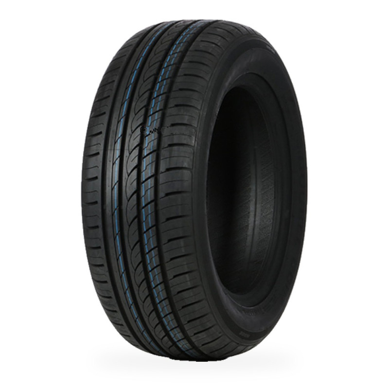 Pneu DOUBLE COIN DC99 205/55 R 16 91